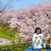 Jardim de Primavera simbolizando a Golden Week. Duas mulheres sentadas na grama contemplando a paisagem.